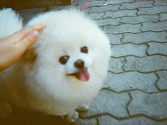 -柯达真美(老重庆中路店)