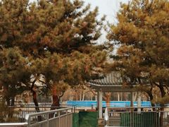 -黄村公园