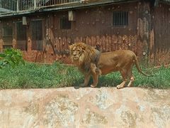 -昆明动物园