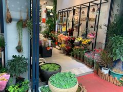 -溪岸路花鸟市场