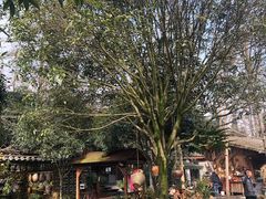 -青城甲(青城山店)