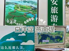 -白洋淀景区
