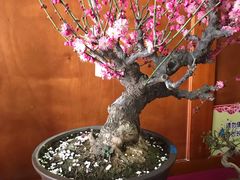 -听鹂馆饭庄(颐和园店)