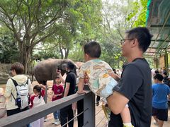 -深圳野生动物园