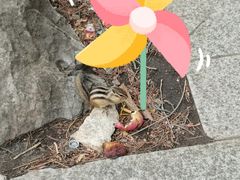 -九鼎铁刹山风景区