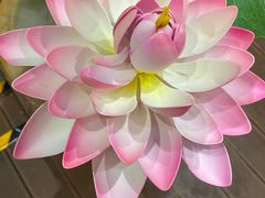 -百味馆·粤菜·湛江菜(后海花园店)