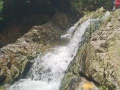 -南海湾森林生态园