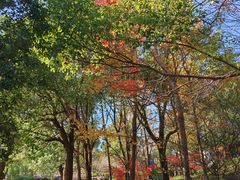 -敬亭山风景名胜区