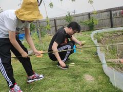 -南汇新场正宗水蜜桃采摘