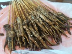 -十里铺铁板鱿鱼