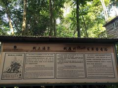-天门沟九州驿站树上汤泉