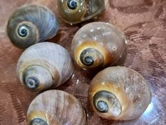 -荣祥海鲜·烟台菜(胜利路二部)