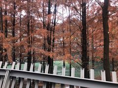 -梅峰山地公园