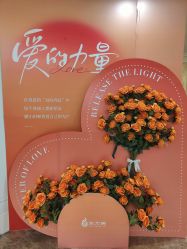 -东方美美容SPA会所