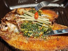 -雀舞云南菜(天津天河城购物中心店)