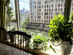 -青青一生美皮肤管理