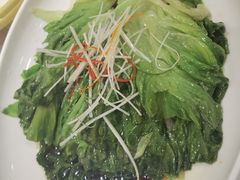白灼罗马生菜-万荣烤鸭店·北京菜(天坛店)