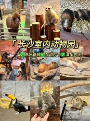 -Zoolung Zoolung动物主题公园(海信广场店)