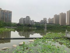 -木塔寺遗址生态公园