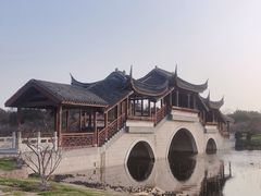 -上海海湾国家森林公园