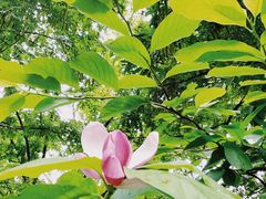 -杭州西湖风景名胜区-满觉陇四眼井
