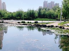 -前关湿地公园