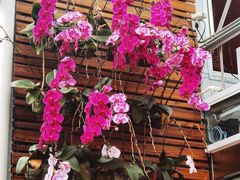 -国家植物园南园