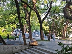-荔湾湖公园