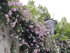 -惠山古镇·寄畅园