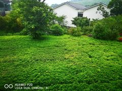 -苏州环秀晓筑养生度假村