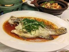 -稻香酒家·33年老字号·港式粤菜(富邦中心店)