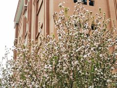 -北京八中游泳馆