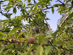 -成都工业学院(郫都校区)