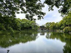 -西溪国家湿地公园