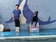 -左海海底世界