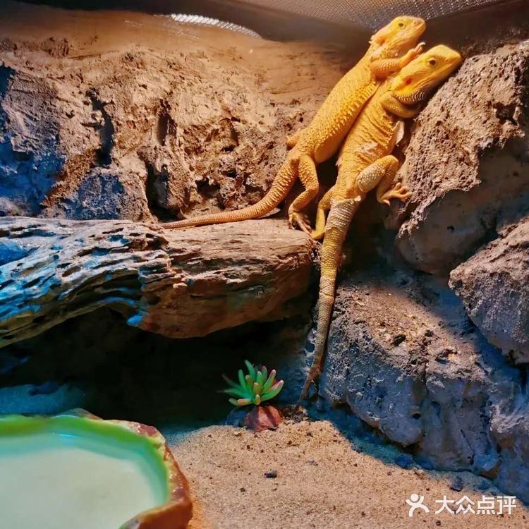 198元一大一小畅玩整个动物园