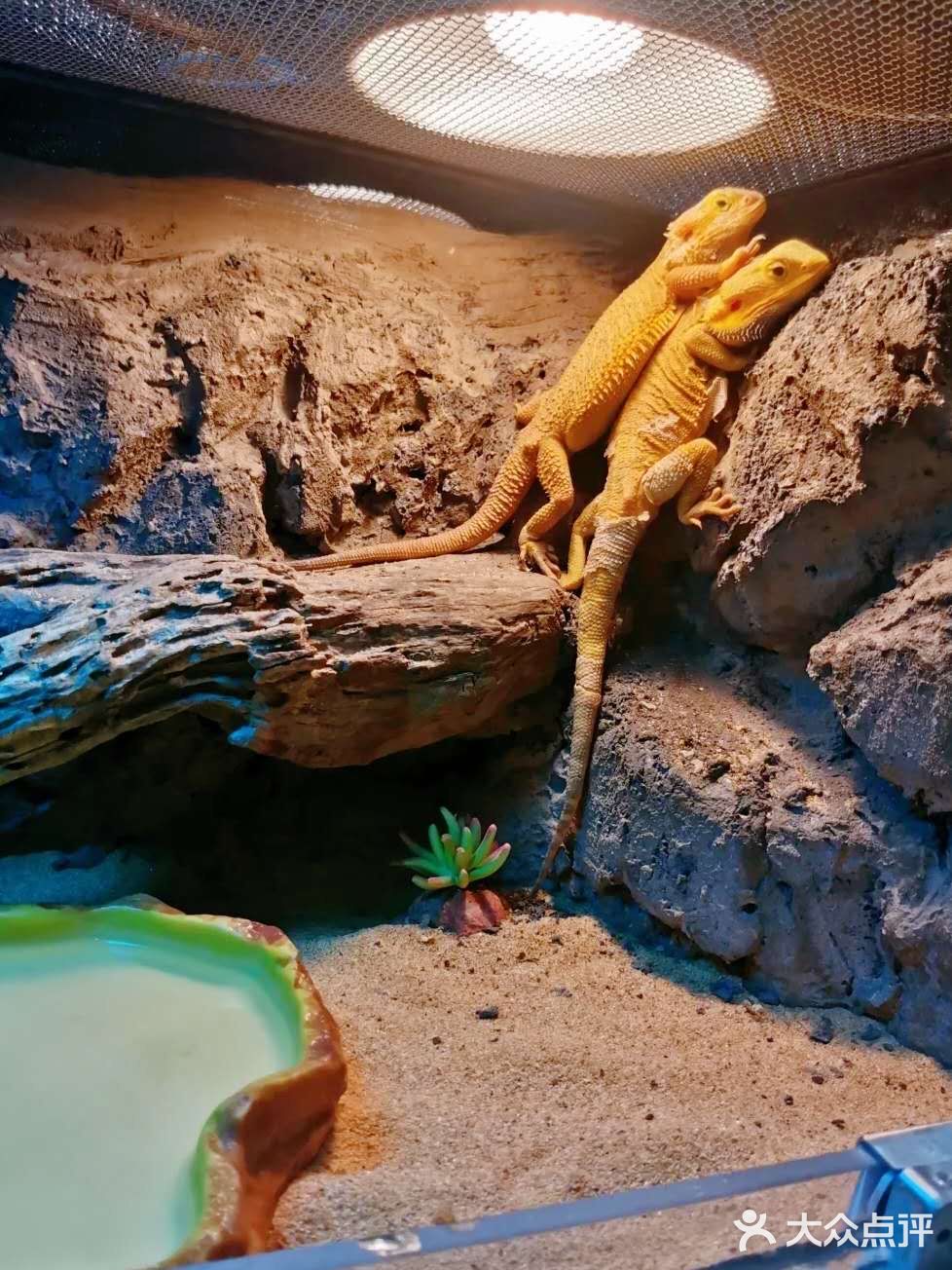 198元一大一小畅玩整个动物园