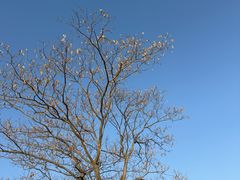 -水上明月·湖景餐厅