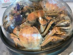 -半岛听涛蒸汽海鲜自助(K11店)