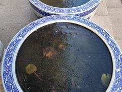 -圆明讲堂