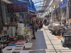 -中环花鸟鱼虫市场