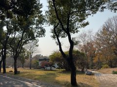 -东湖落雁景区