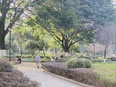 -龙头寺公园
