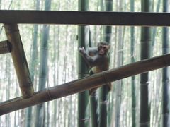 -重庆雨台山风景区