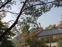 -火炉山森林公园