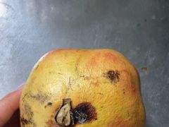 -南京众彩农副产品配送有限公司