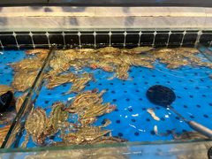 -川骄海鲜自助(河东店)