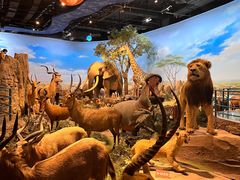 -陕西自然博物馆