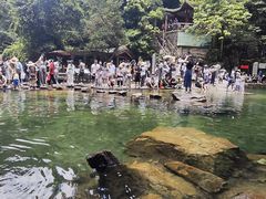 -鼎湖山风景区