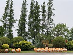 -上海长兴岛郊野公园